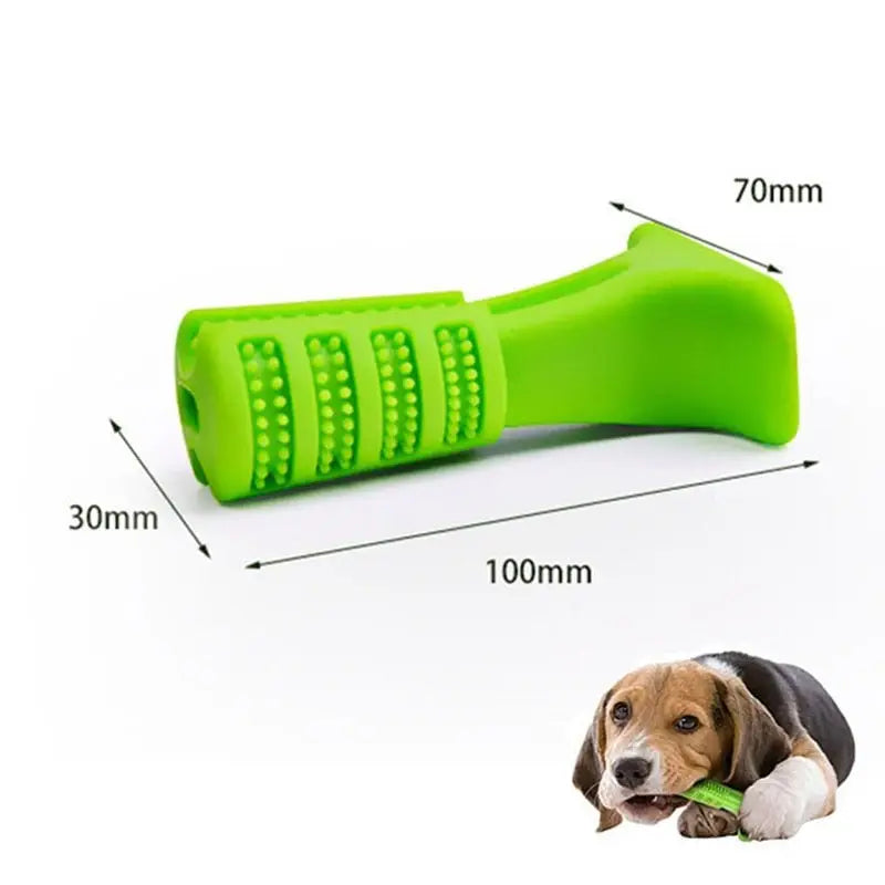 Jouet à mâcher pour chien avec brosse à dents - jouet à mâcher et brosse à dents