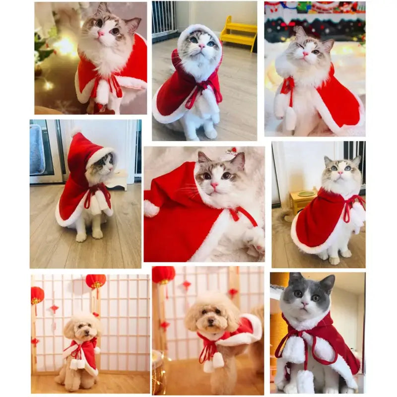 Costume de chat festif - Célébrez avec un chapeau de Père Noël ajustable et facile à porter pour votre chat
