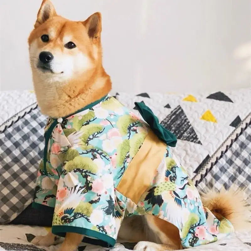 Chien en chemise japonaise de style kimono sur le lit