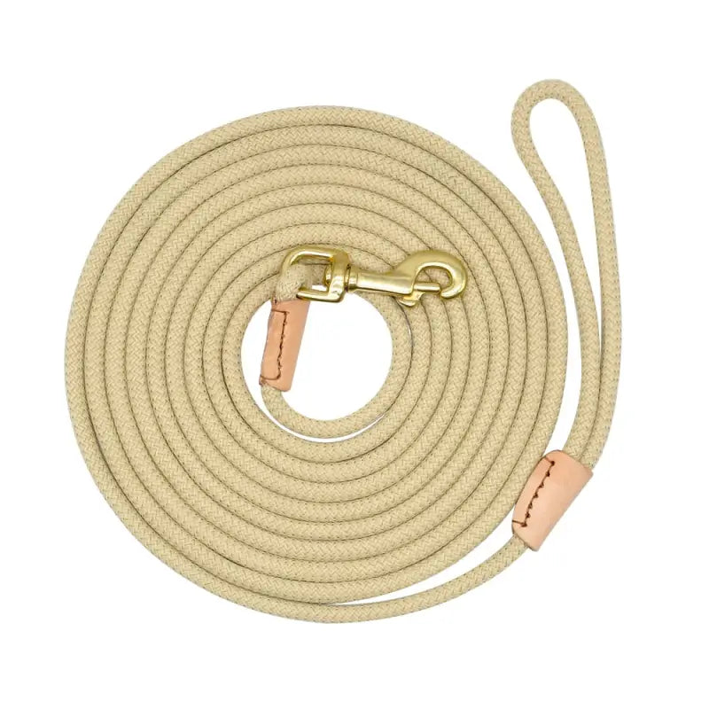 Laisse pour chien corde