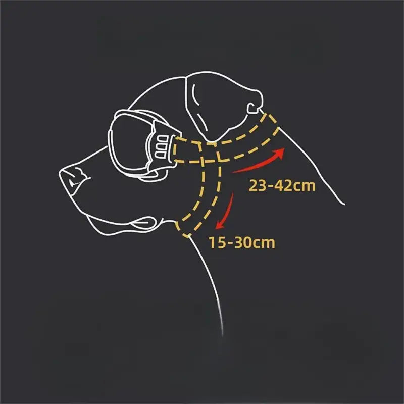 Tête de chien avec mesures pour lunettes de soleil pour chien : Protection UV et style - parfaites pour les promenades