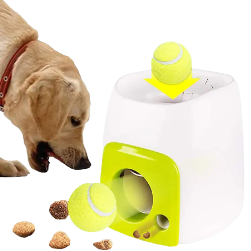 Chien profitant d’un jouet interactif avec une balle de tennis et un distributeur de friandises Transparent Background