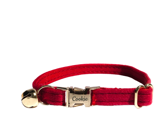 Collier Chat Personnalisé Velours Rouge Transparent Background