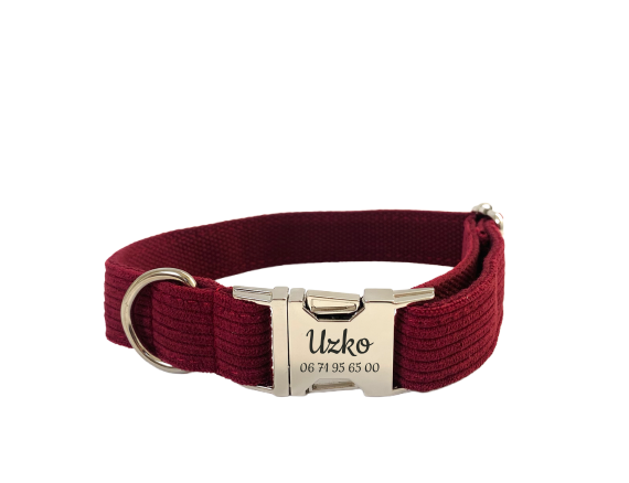 Collier Chien Personnalisé Velours Côtelé Bordeaux Transparent Background