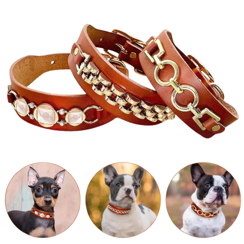 Collier Chien En Cuir Pour Chiots Et Chiens Moyens Transparent Background