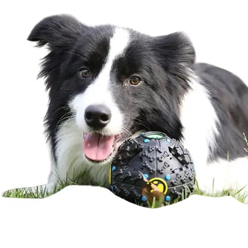 Balle pour friandises chien Transparent Background