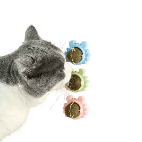 Herbe à chat : Chat jouant avec un jouet sur fond rose pour la stimulation intestinale Transparent Background