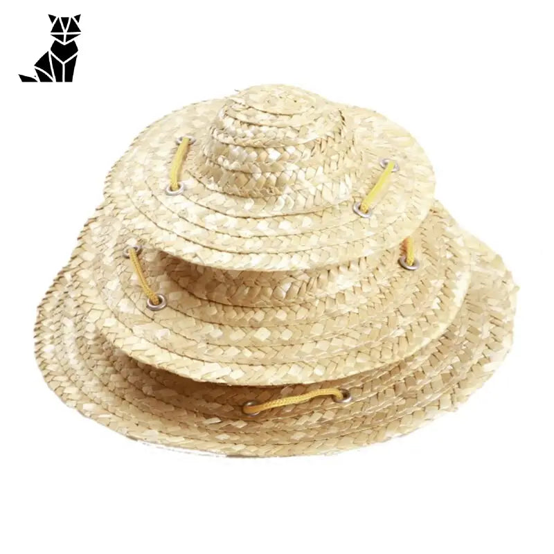 Chapeau pour Chien Paille Tropical