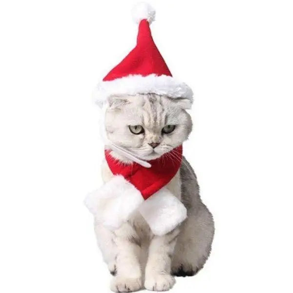 Bonnet pour Chat Mère Noël