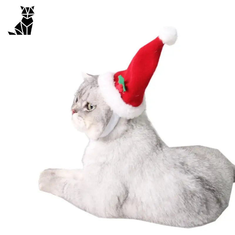 Bonnet pour Chat Mère Noël