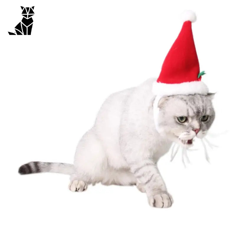 Bonnet pour Chat Mère Noël