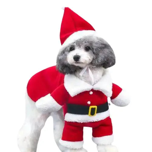 Bonnet pour Chien & Cosplay de Noël Transparent Background