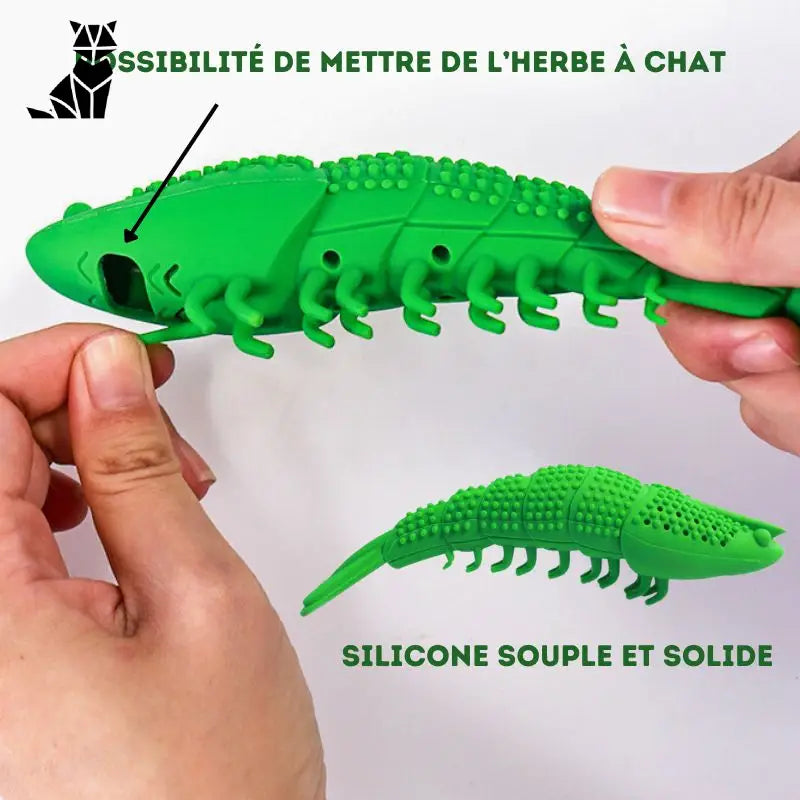 Brosse à dents pour chat | Denticat™