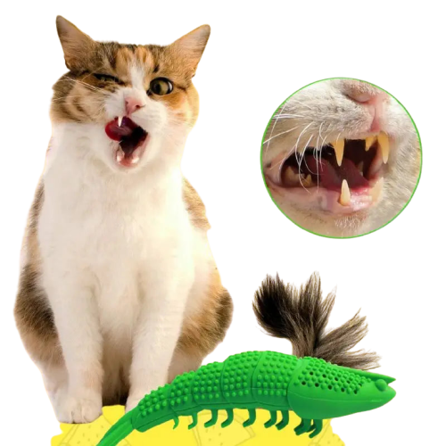 Brosse à dents pour chat | Denticat™ Transparent Background