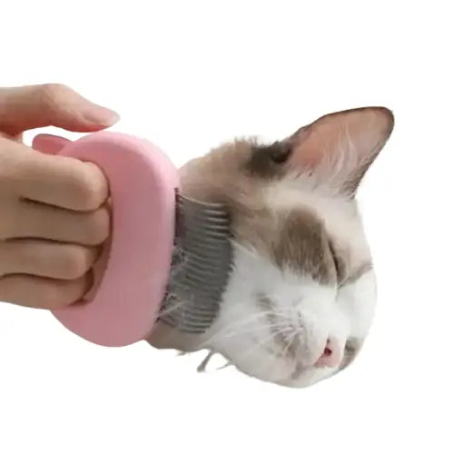 Brosse Pour Chats: Spécialement Conçue Pour Félins Difficiles Et Massage Délicat Transparent Background
