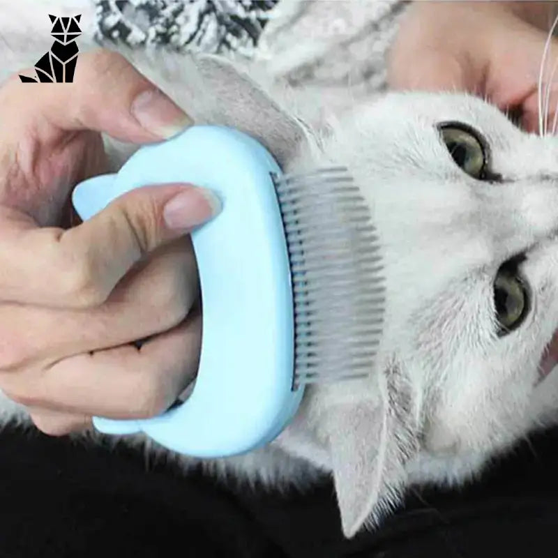 Brosse Pour Chats: Spécialement Conçue Pour Félins Difficiles Et Massage Délicat