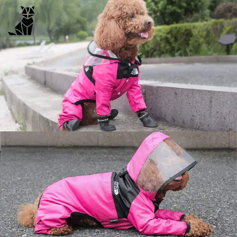 Chien en imperméable rose avec capuche transparente - Protection optimale pour les jours de pluie