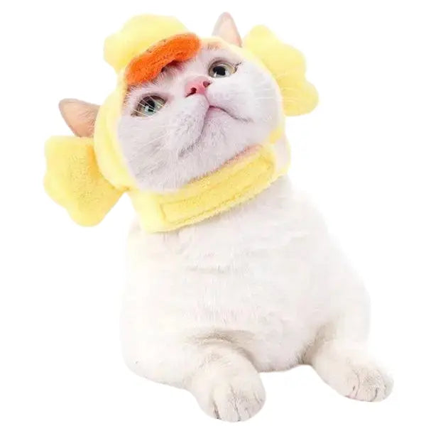Bonnet pour Chat Bébé Canard Transparent Background