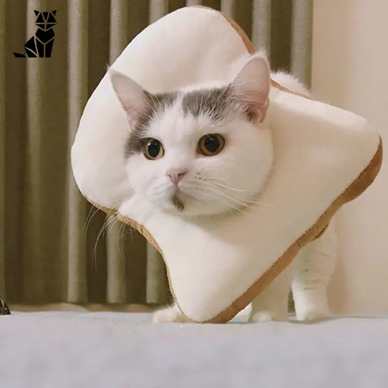 Chapeau pour Chat Cosplay Toast