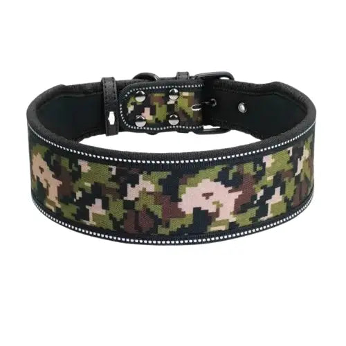 Collier Chien Réfléchissant Et Ajustable Transparent Background
