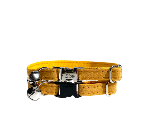  Transparent Background