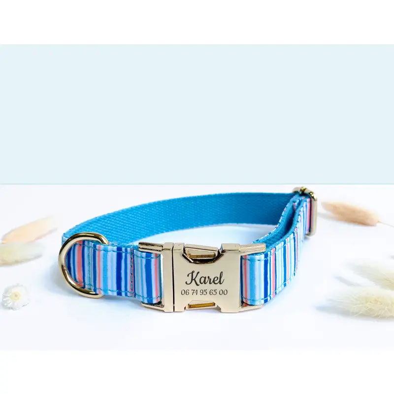 Collier Chien Personnalisé Coton Rayé Bleu Ciel