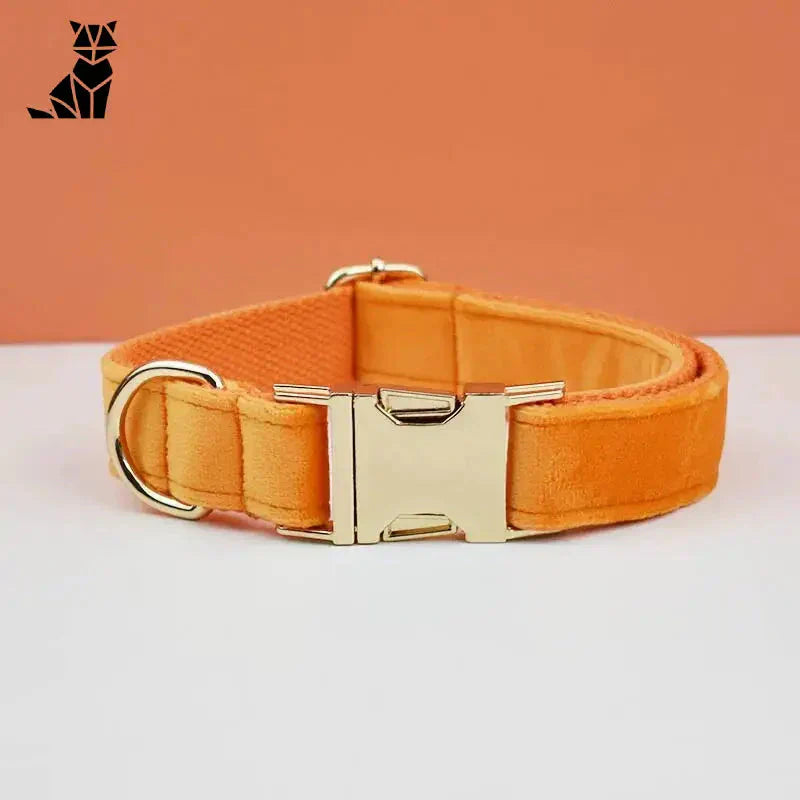 Collier pour chien en velours durable avec boucle dorée - personnalisé et réglable pour plus de confort