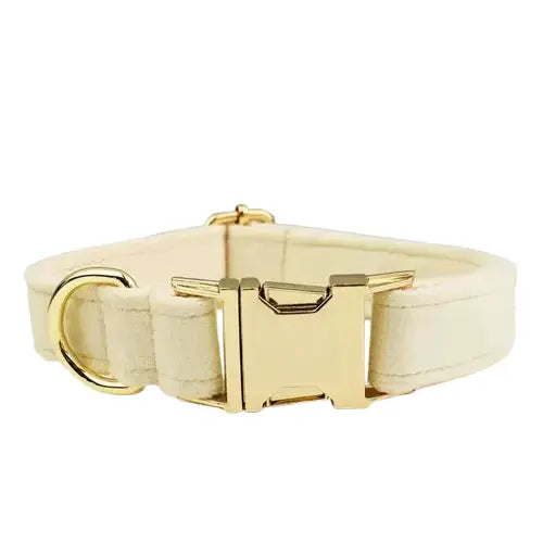 Le collier à boucle dorée sur un collier en velours personnalisé durable réglable pour les animaux de compagnie Transparent Background