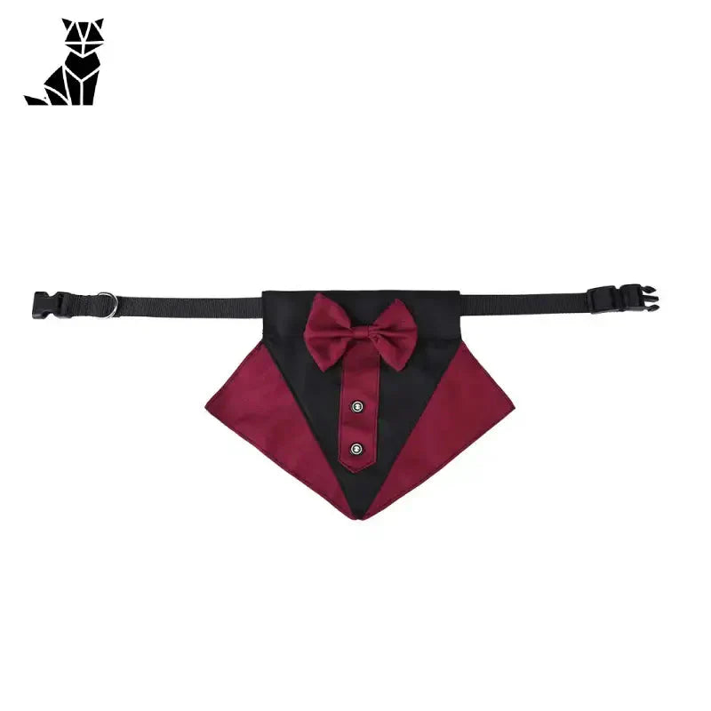 Gros plan sur le collier Chic Bow Tie pour chien - nœud papillon sur collier stylé