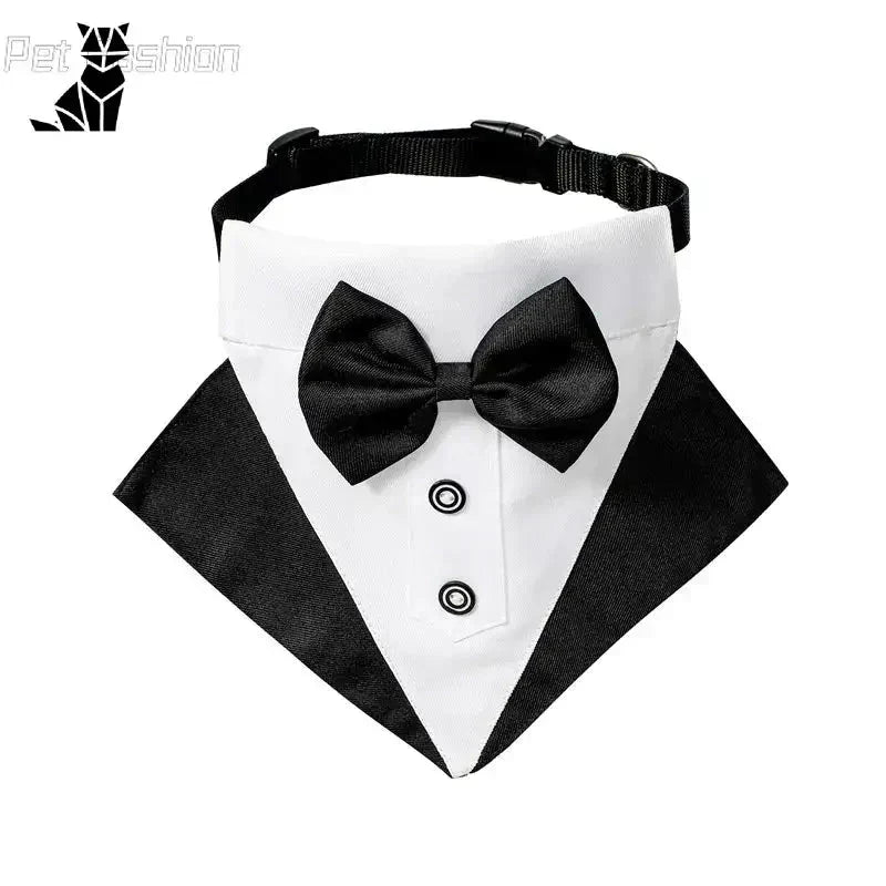 Chien blanc en nœud noir papillon collier de la collection Chic Bow Tie Collar for Dogs