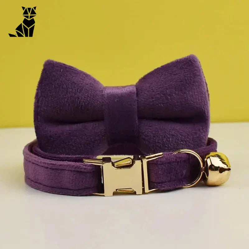 Nœud papillon en velours violet avec boucle dorée sur collier de chat personnalisé en velours