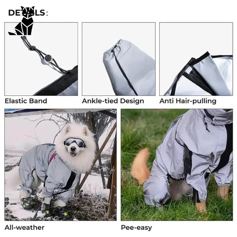 Chien portant une combinaison réfléchissante imperméable, combinaison imperméable avec des lunettes de soleil