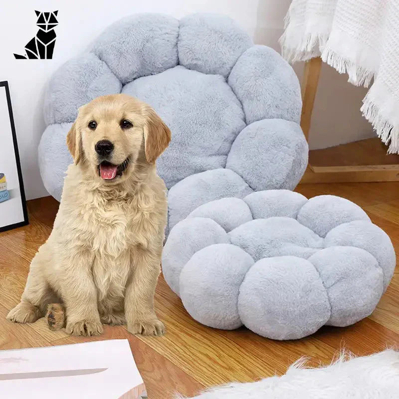 Coussin à fleurs super doux et lavable pour chats : un chien à côté d’une balle en peluche