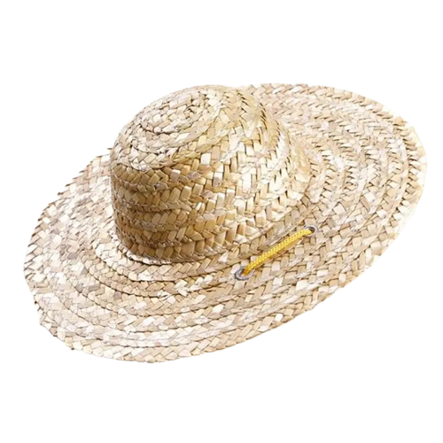 Chapeau pour Chien Paille Tropical Transparent Background