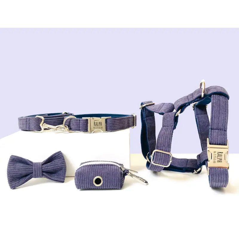 Kit Complet Chien Personnalisé Velours Côtelé Lavande