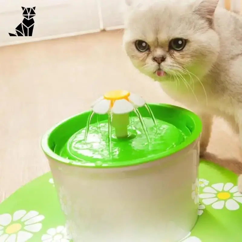 Fontaine à Eau Catdrink™ Avec Filtre à Charbon Pour Le Bien-être De Votre Chat