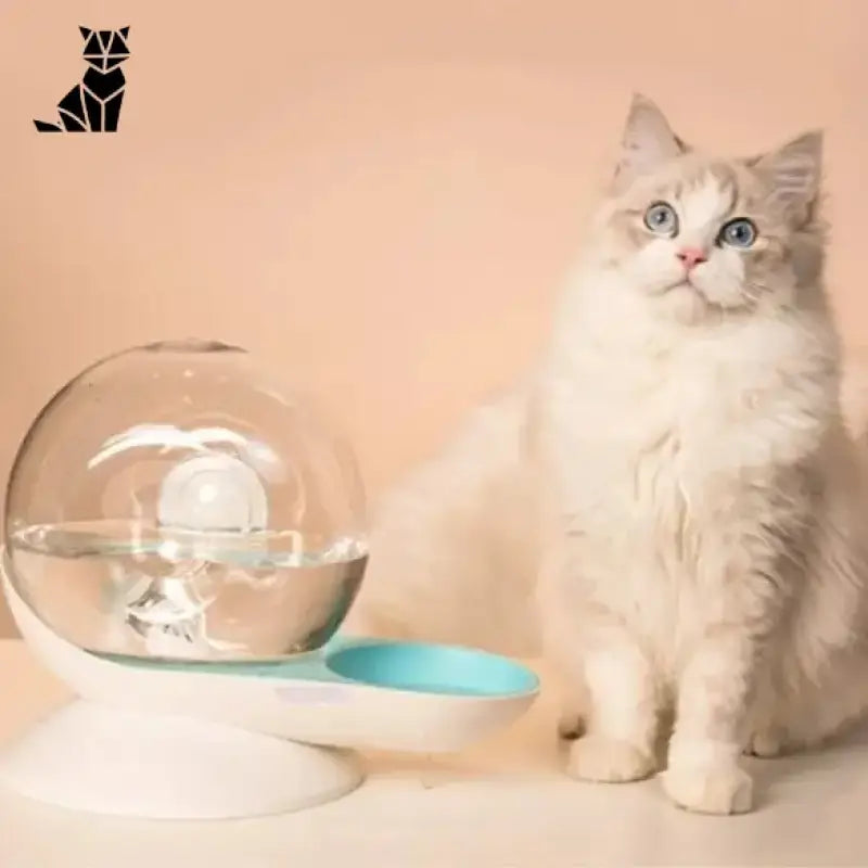 Fontaine à Eau Fraiche Pour Chat Avec Filtre à Charbon écologique