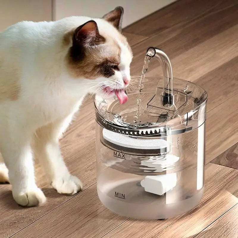 Fontaine à eau pour chat | AquaMiaou™