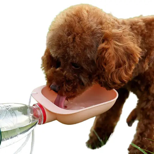 Gamelle d’eau portative pour chien et chat Transparent Background