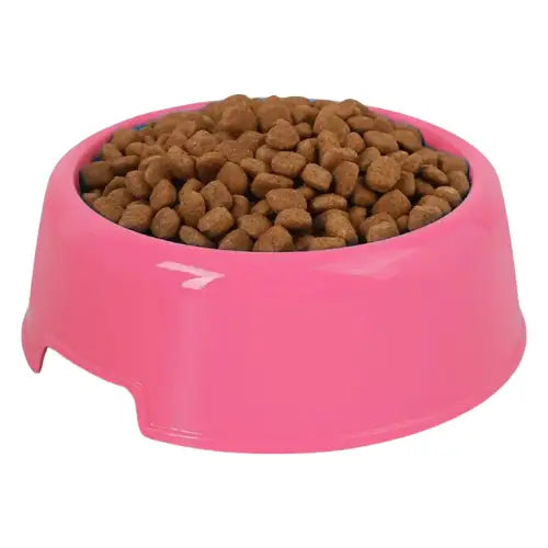 Gamelle solide pour chat Transparent Background