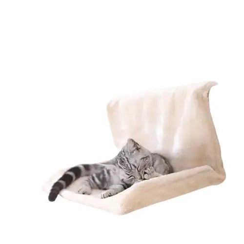 Hamac pour chat radiateur : Joli lit suspendu pour chat avec un chat qui s’y prélasse Transparent Background