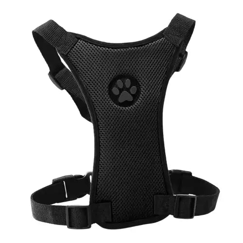 Harnais voiture pour chien Transparent Background