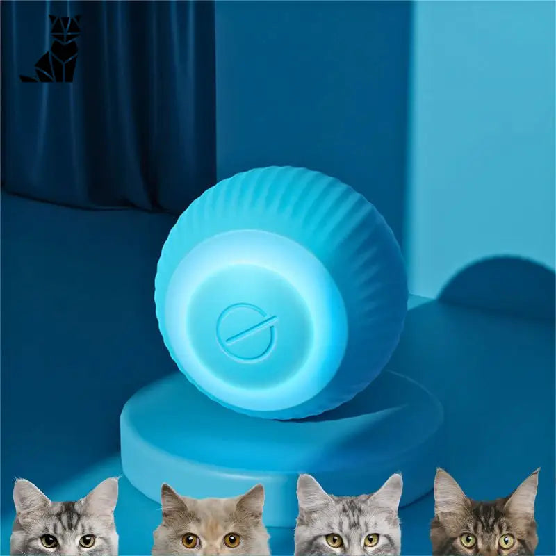 La balle magic pour chat | MagicBall™