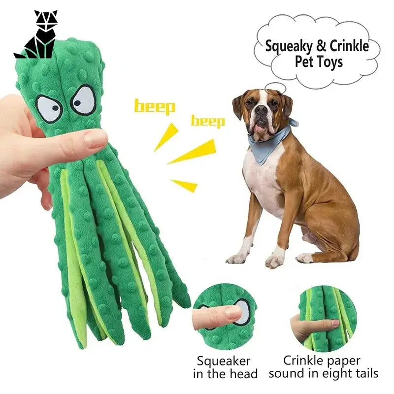 Chien assis avec peluche Octopus Sound Peluche Toy, appréciant le mécanisme squeaky feature