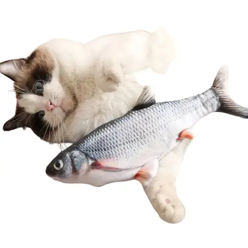 Poisson pour chat | CatsFish™ Transparent Background