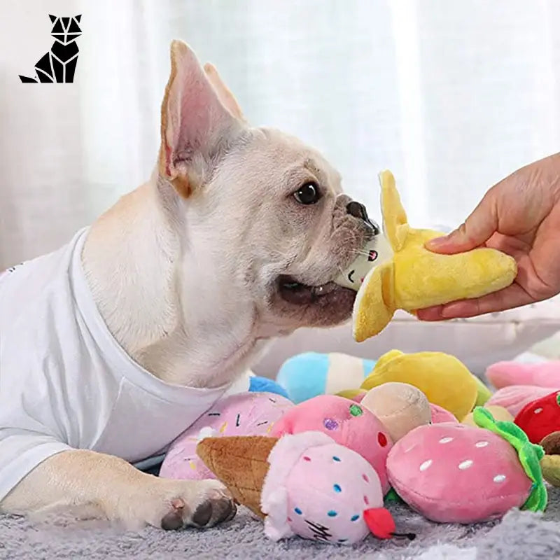 Jouet peluche Tournesol grinçant pour chien - Parfait aux jouet pour les animaux de compagnie joueurs