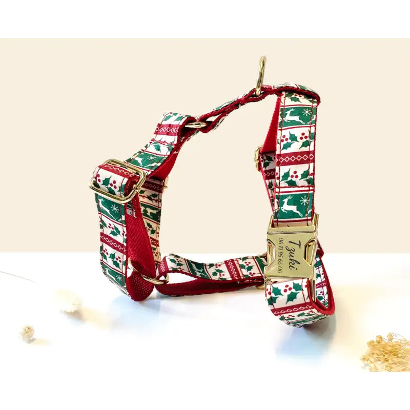 Kit Complet Chien Personnalisé Coton Édition Spécial Noël