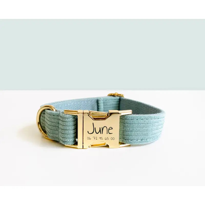 Kit Complet Chien Personnalisé Velours Côtelé Bleu Ciel