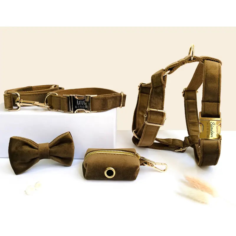 Kit Complet Chien Personnalisé Velours Lisse Marron