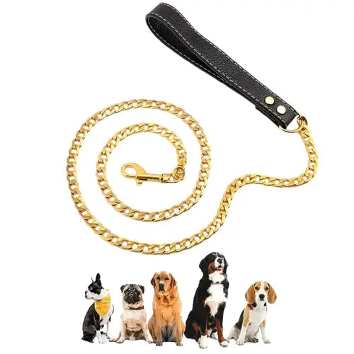 Chaîne dorée pour chiens - Gros plan sur une chaîne dorée et un groupe de chiens dans un parc Transparent Background